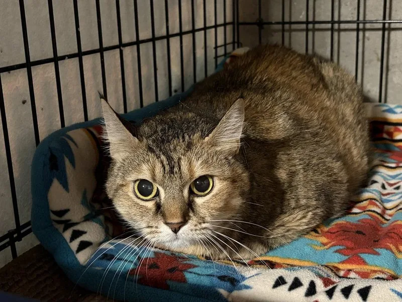 Sophie