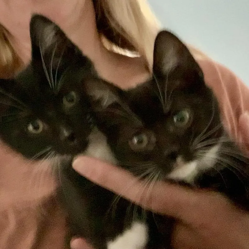 Dante And Delilah thumbnail 2