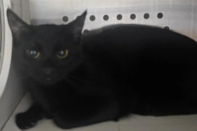 Sabrina