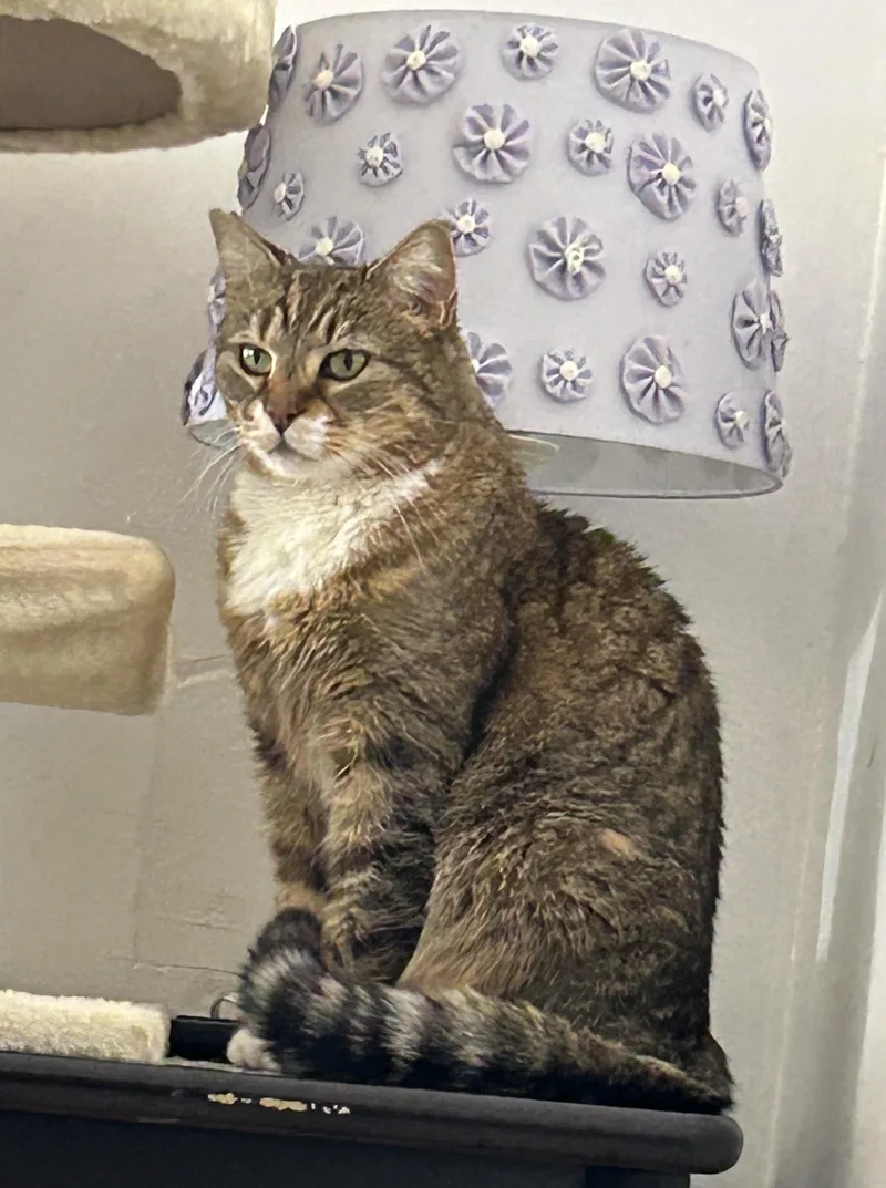 Ellie Mar thumbnail 3