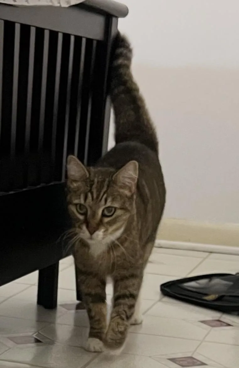 Ellie Mar thumbnail 4