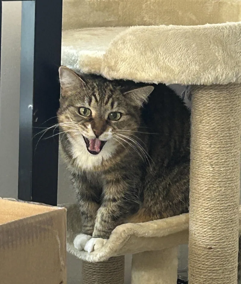 Ellie Mar thumbnail 5