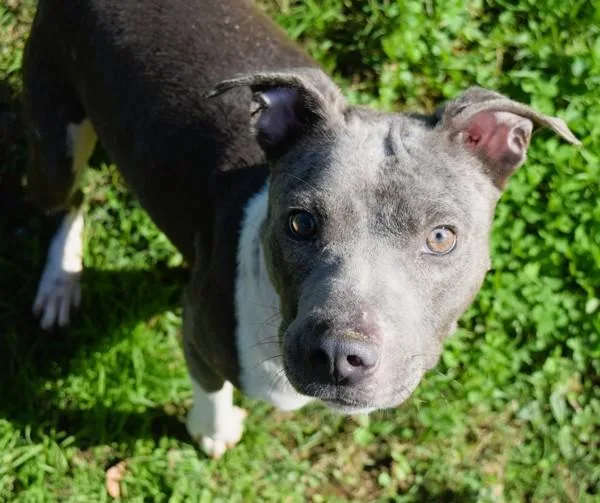 Cindy Lu Lu thumbnail 3