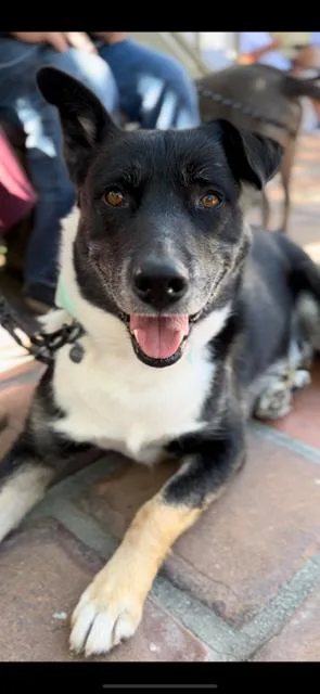 Groot And Zaya Bonded thumbnail 2