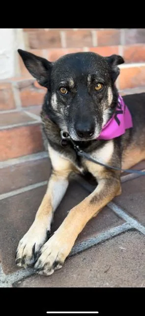 Groot And Zaya Bonded thumbnail 5