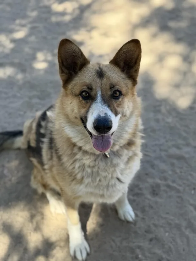 Ruka