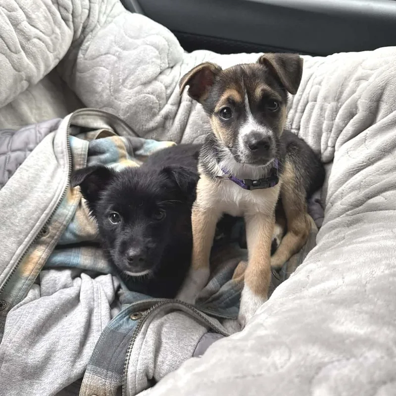 Sourdough thumbnail 2