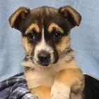 Sourdough thumbnail 3