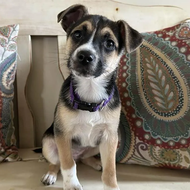 Sourdough thumbnail 4