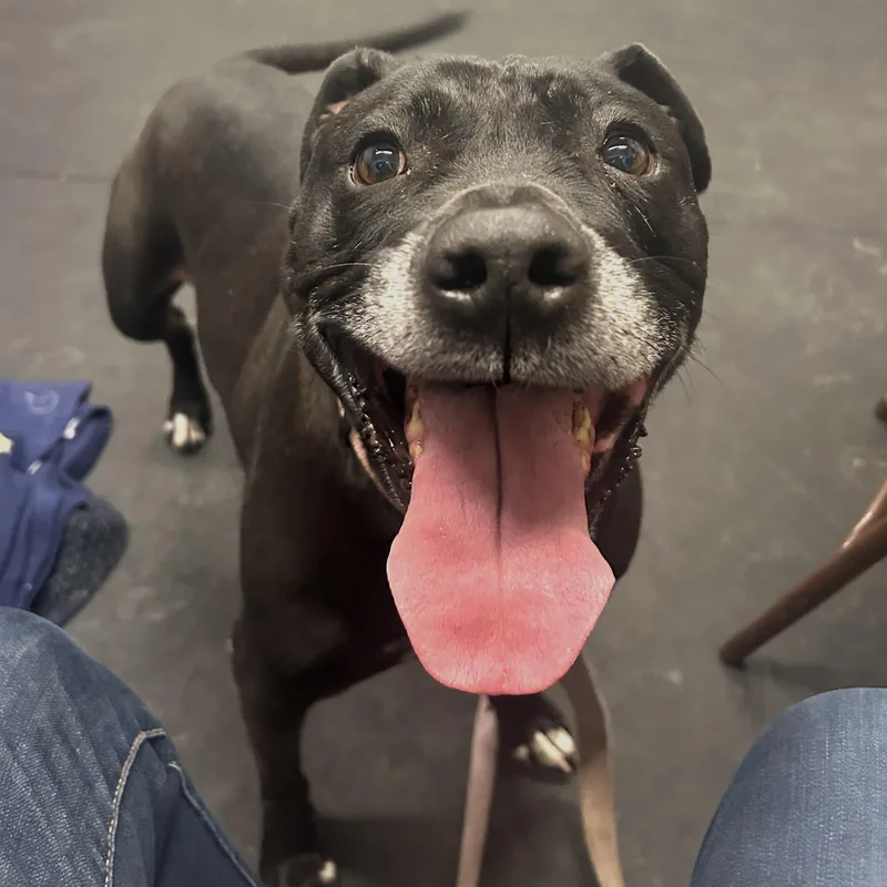 Izzyloving  Gentle  thumbnail 2