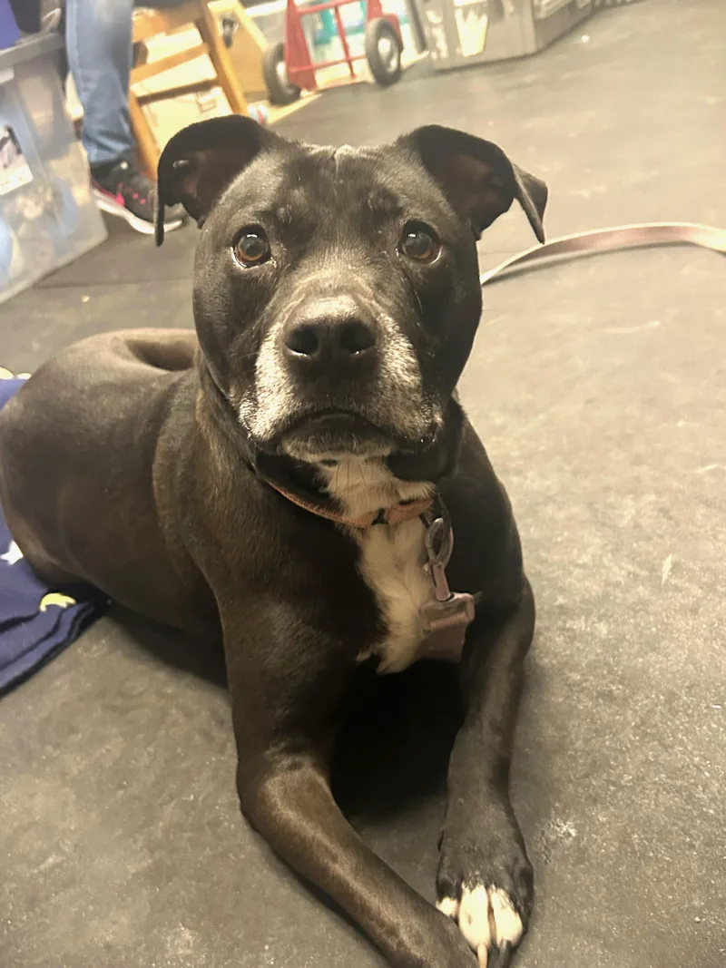 Izzyloving  Gentle  thumbnail 3