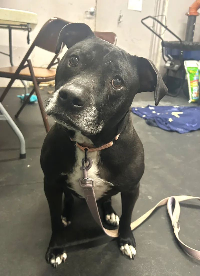 Izzyloving  Gentle  thumbnail 4