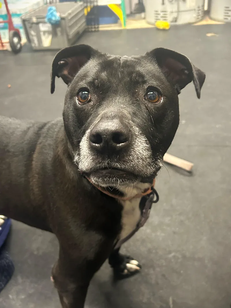 Izzyloving  Gentle  thumbnail 5