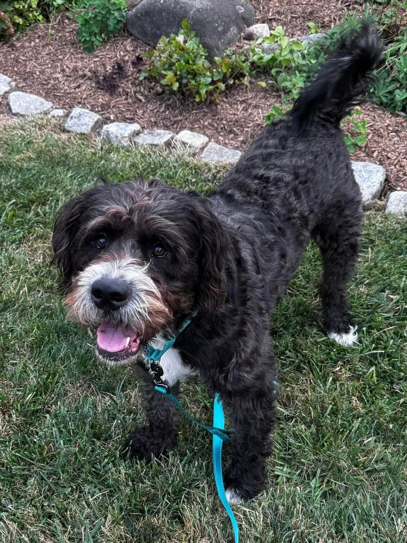 Snoop Dogg thumbnail 3