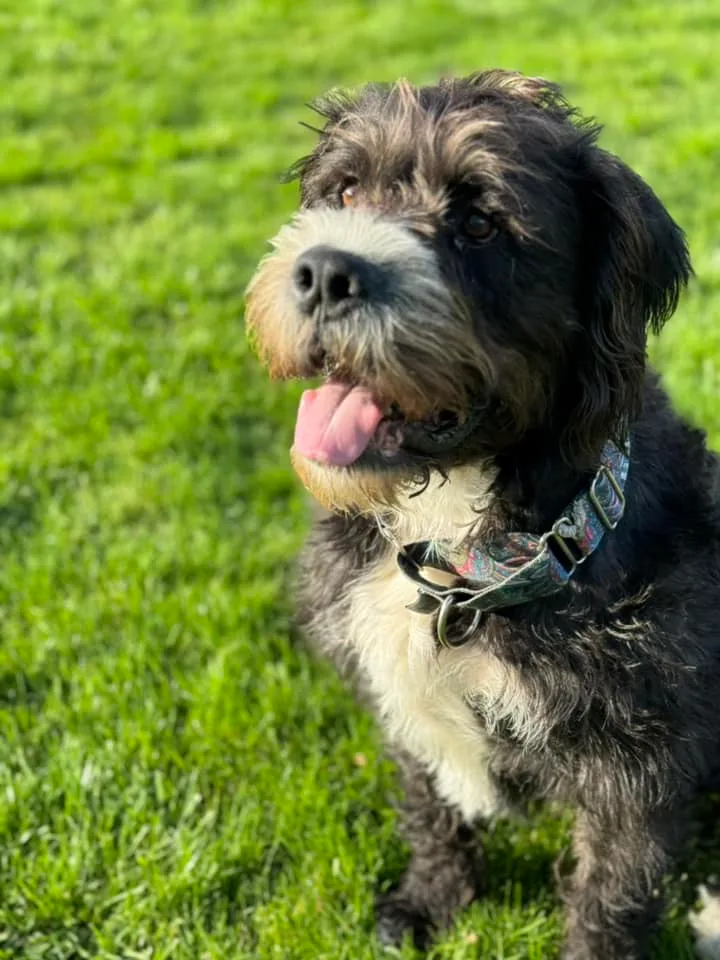 Snoop Dogg thumbnail 5