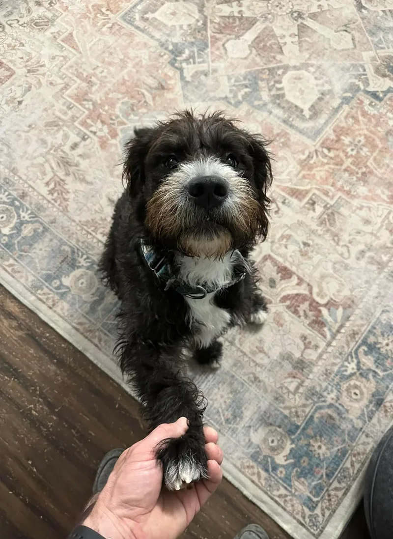 Snoop Dogg thumbnail 6