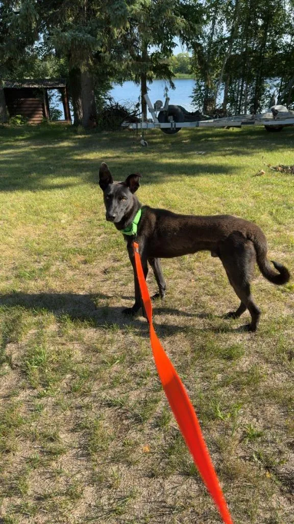 Zeke