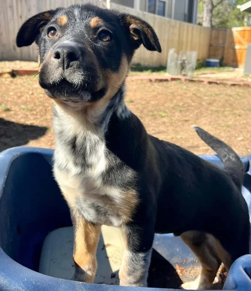 Mat Parallax thumbnail 2