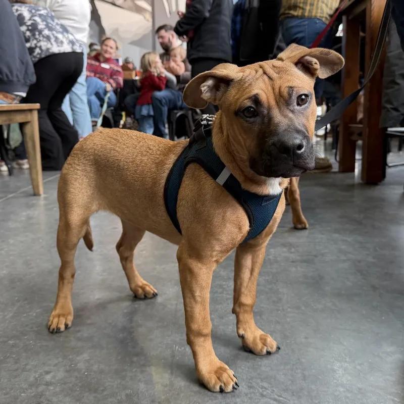 Lois Lane thumbnail 2