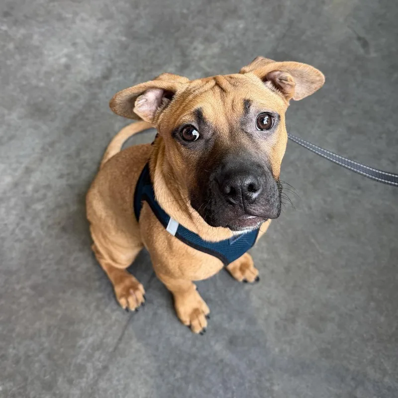 Lois Lane thumbnail 4