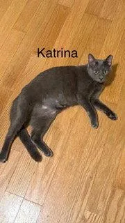 Katrina