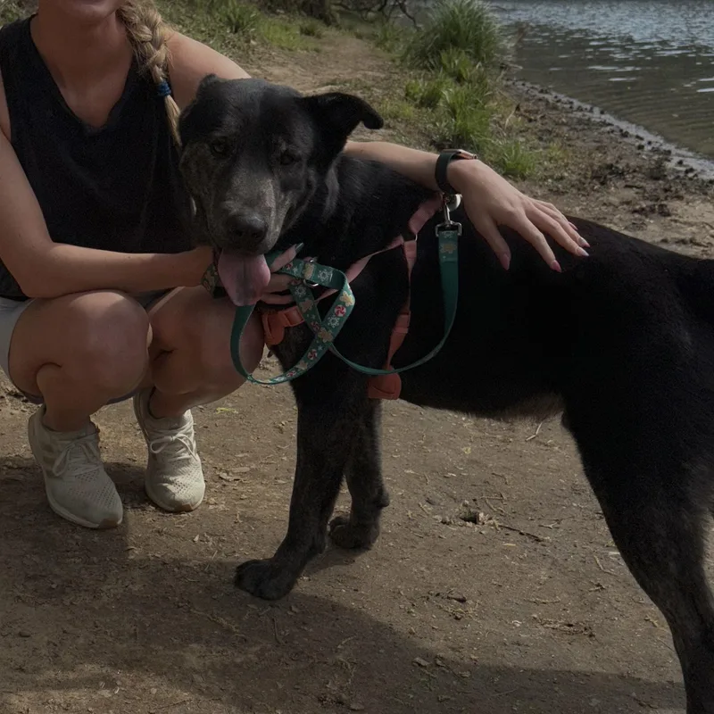 Jeremy Allen White thumbnail 4