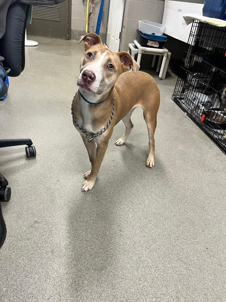 Sadie Lou thumbnail 2