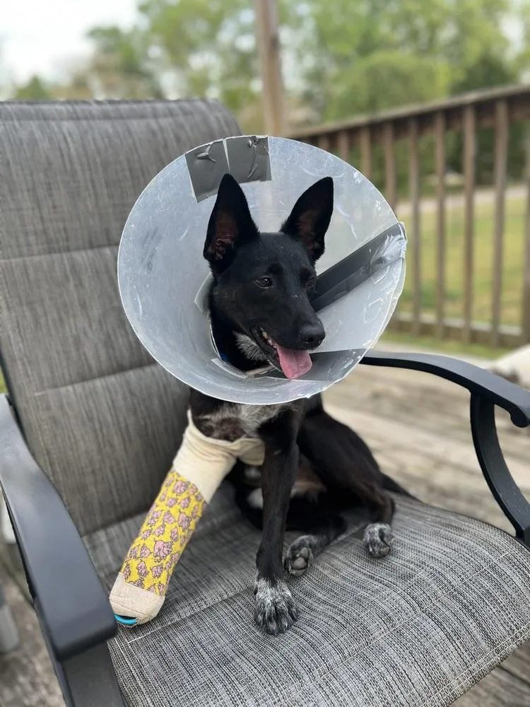 Peanut Jane thumbnail 4