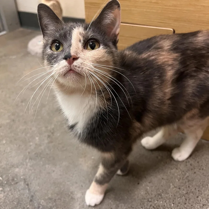 Margo & Milo thumbnail 4