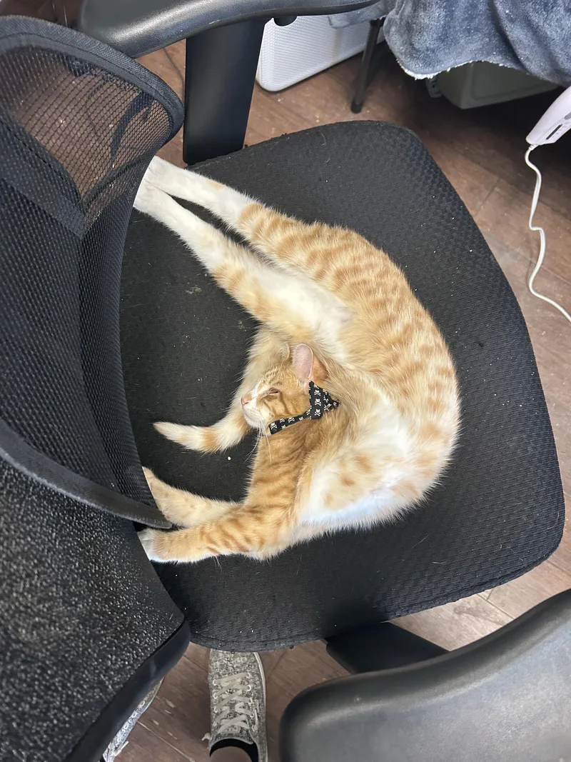 Margo & Milo thumbnail 5