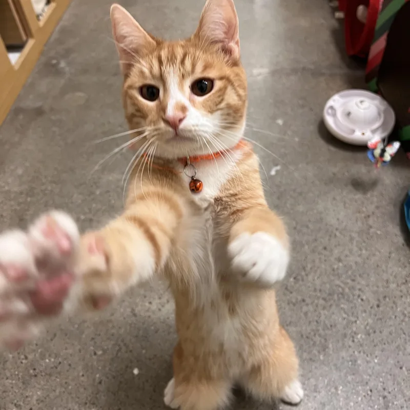 Margo & Milo thumbnail 6