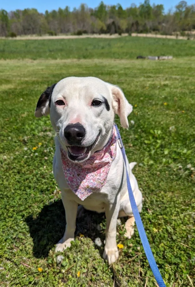 Susie ...... Fee Sponsorship thumbnail 2