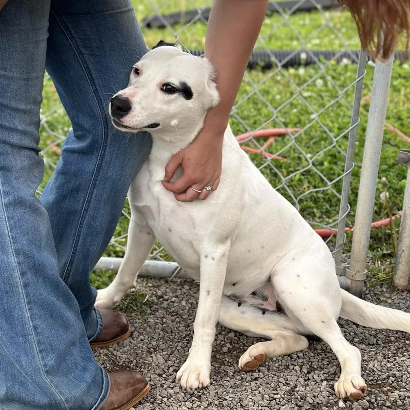 Susie ...... Fee Sponsorship thumbnail 4