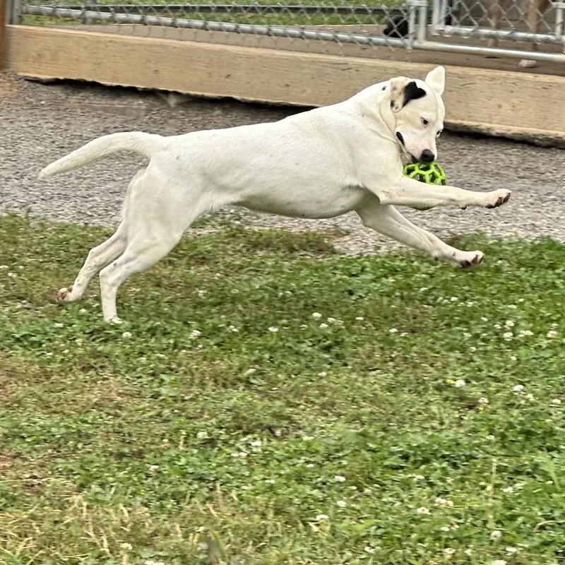 Susie ...... Fee Sponsorship thumbnail 5