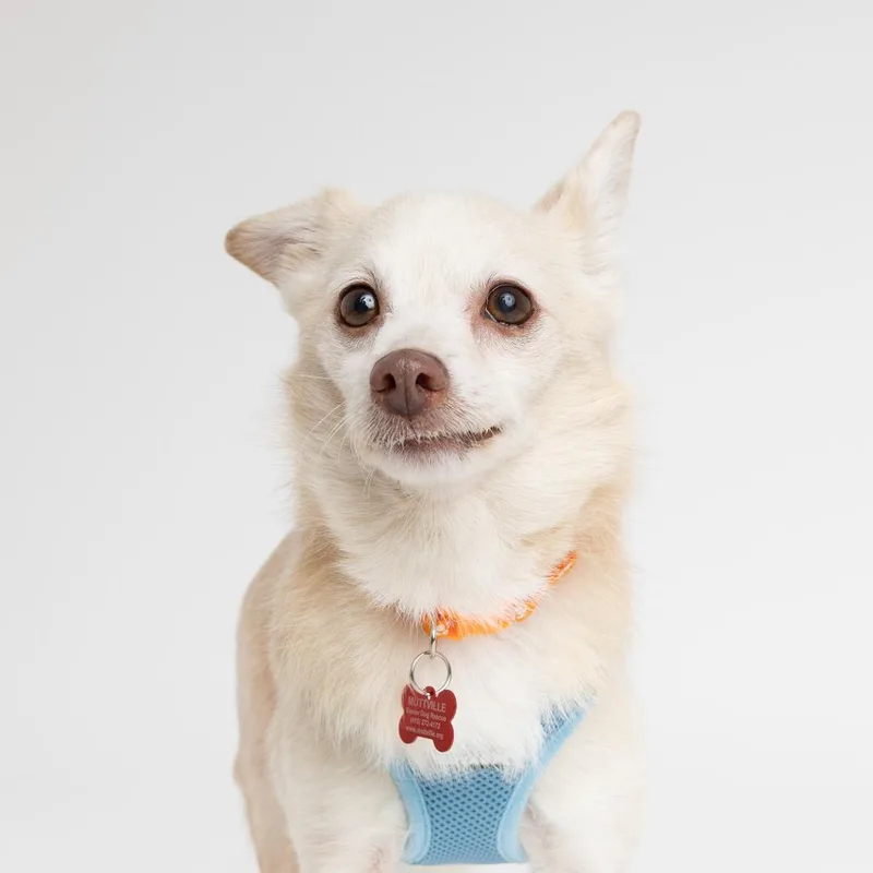 Cheez Whiz thumbnail 4