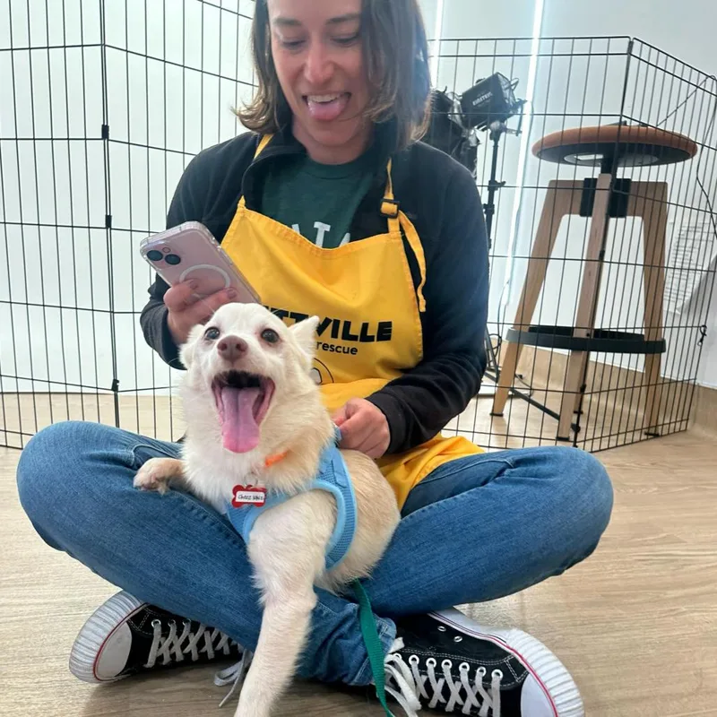 Cheez Whiz thumbnail 5