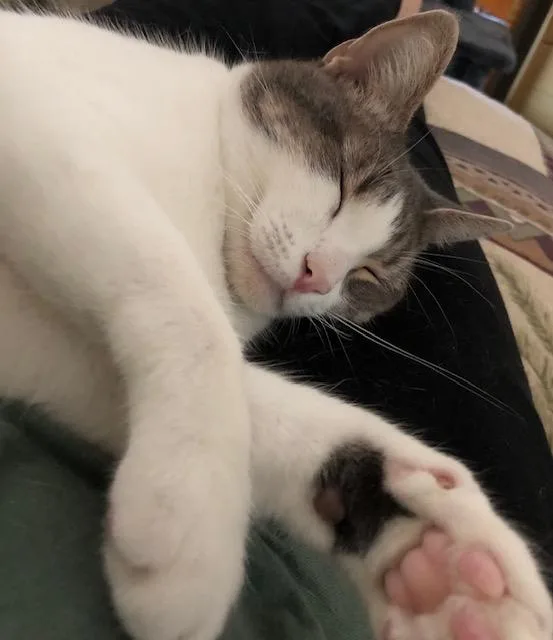 Sapphire thumbnail 3