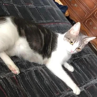 Sapphire thumbnail 4