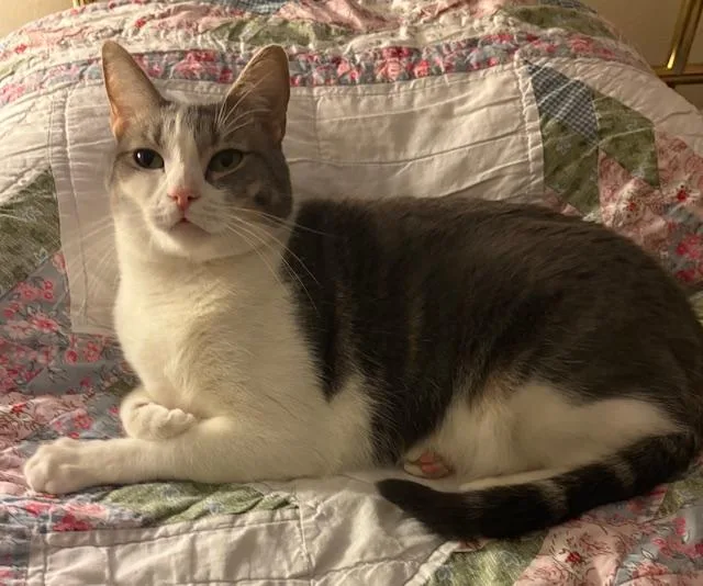 Sapphire thumbnail 5