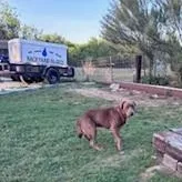 Winifred thumbnail 2