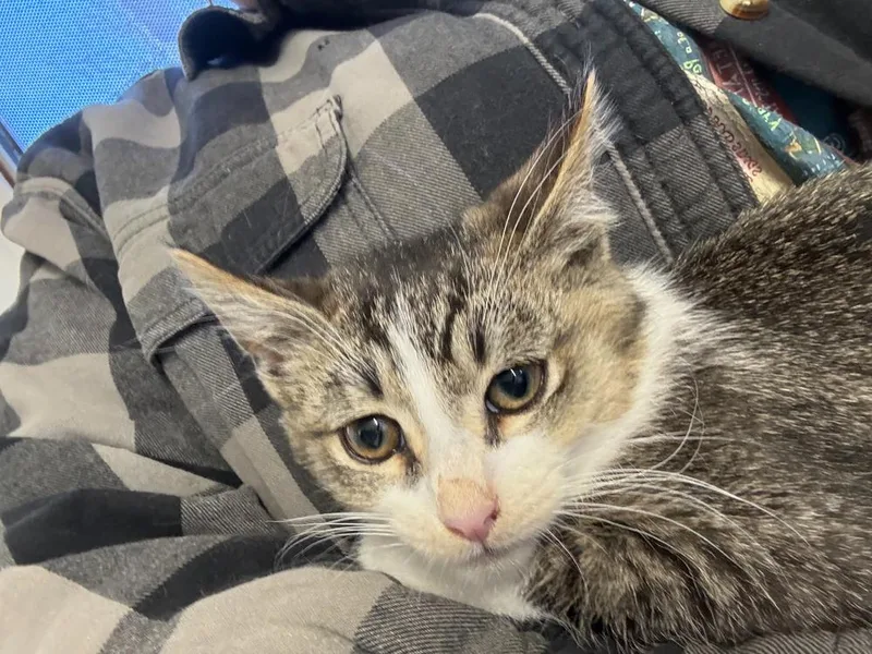 Stanley Sims thumbnail 2