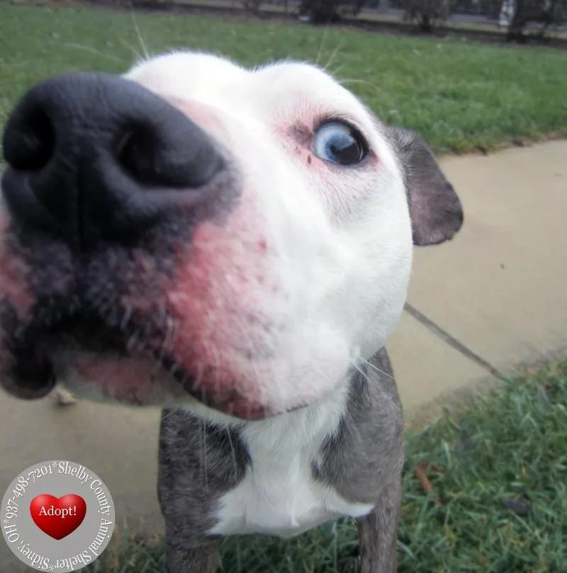 Jace Yrly thumbnail 2