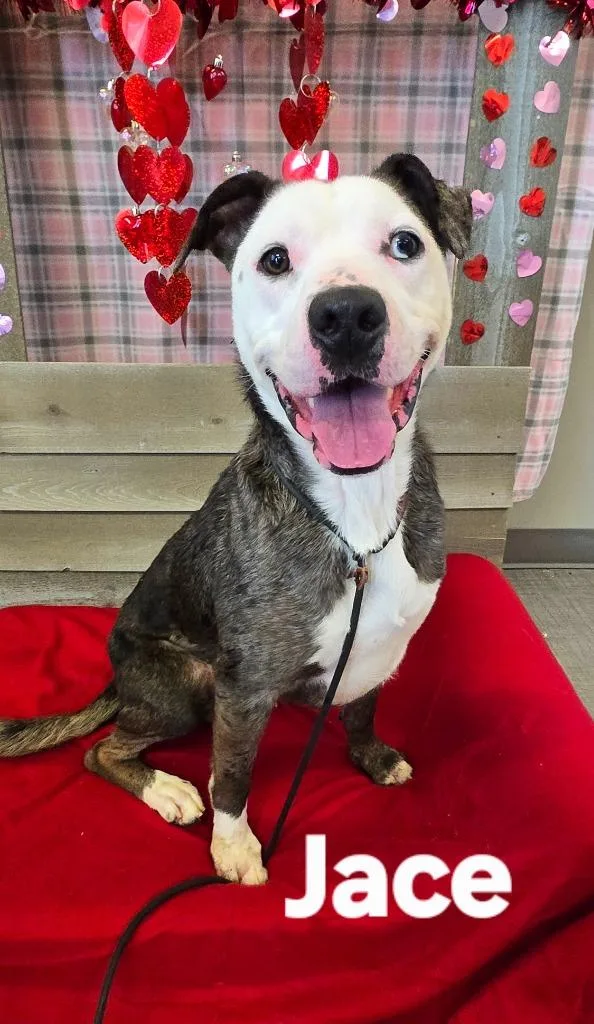 Jace Yrly thumbnail 3