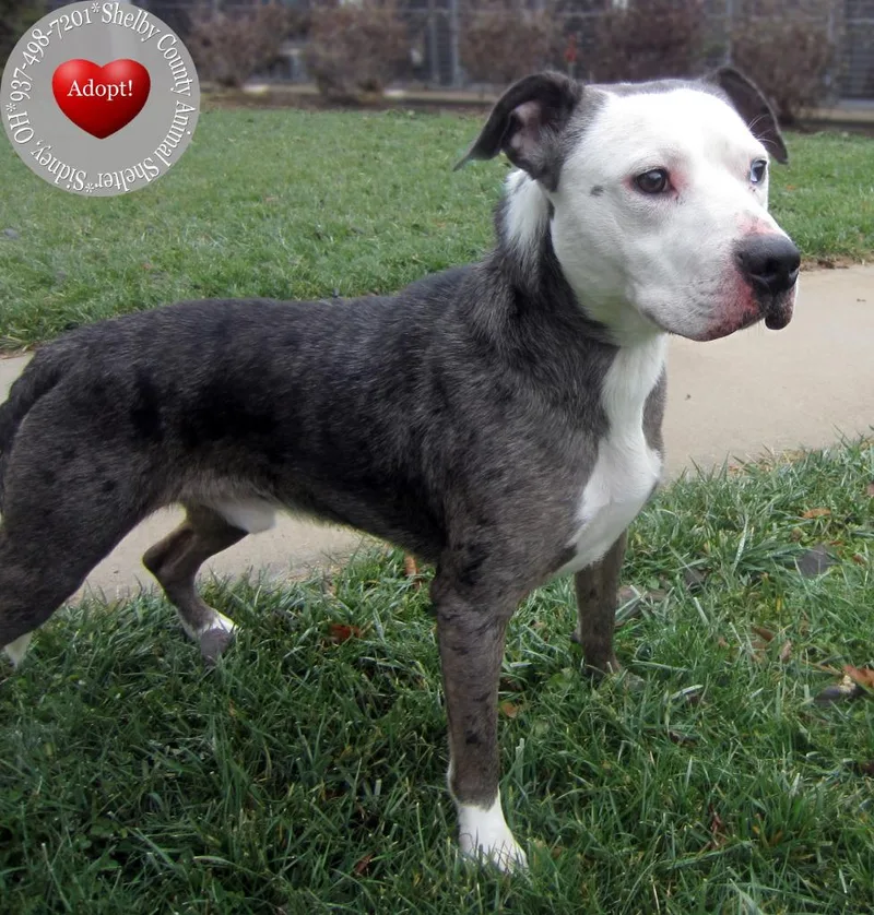 Jace Yrly thumbnail 4