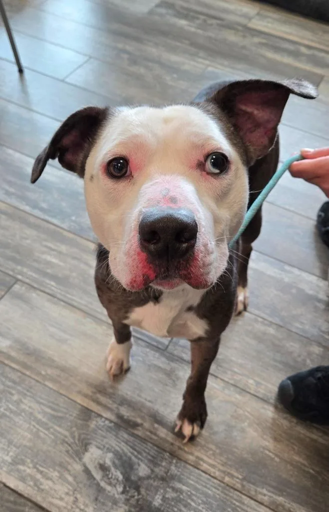 Jace Yrly thumbnail 5