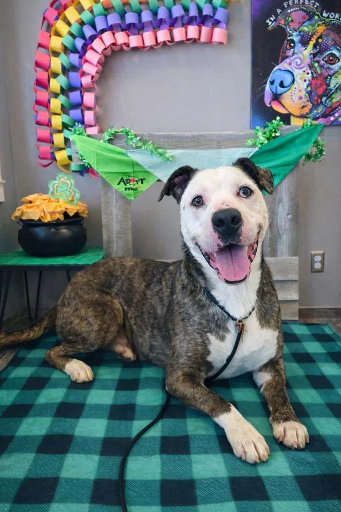 Jace Yrly thumbnail 6