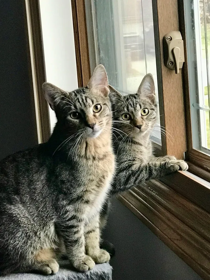 Usher & Britney Spears thumbnail 2