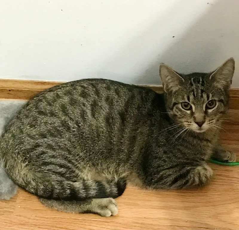 Usher & Britney Spears thumbnail 3