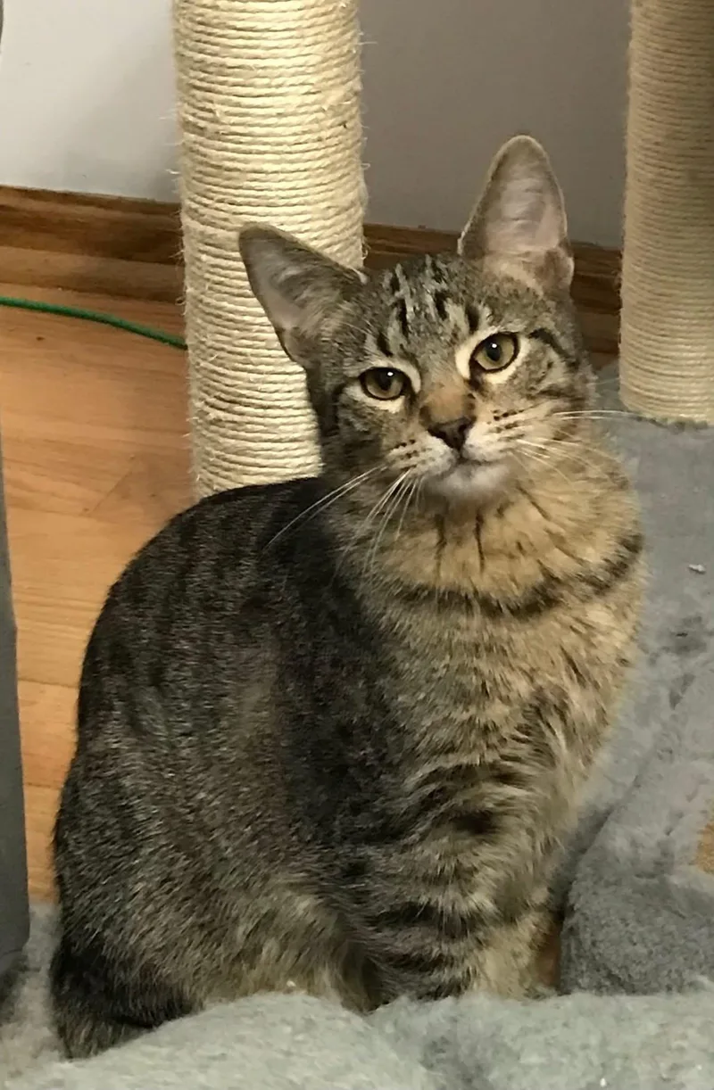 Usher & Britney Spears thumbnail 5