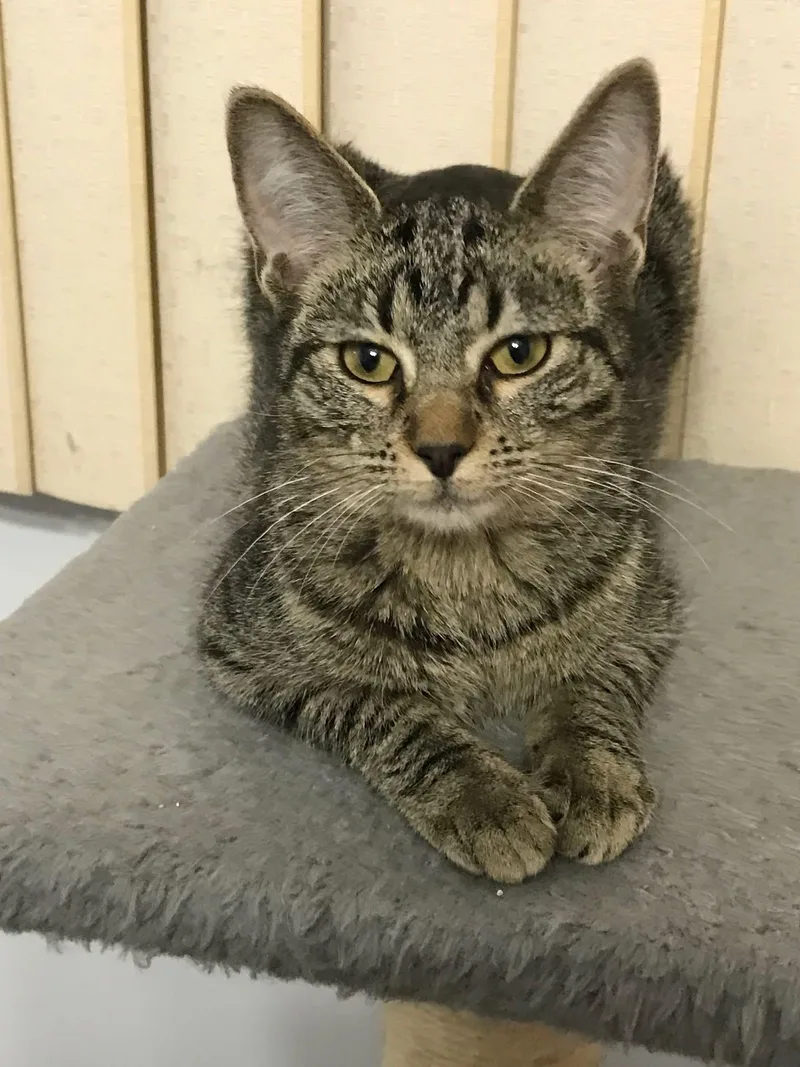 Usher & Britney Spears thumbnail 6